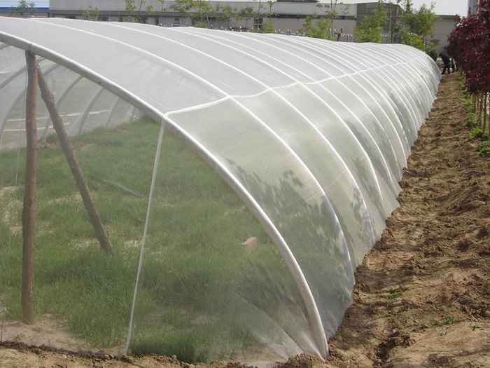 HDPE Anti Insect Net for Greenhouse and Agricultural crop protection