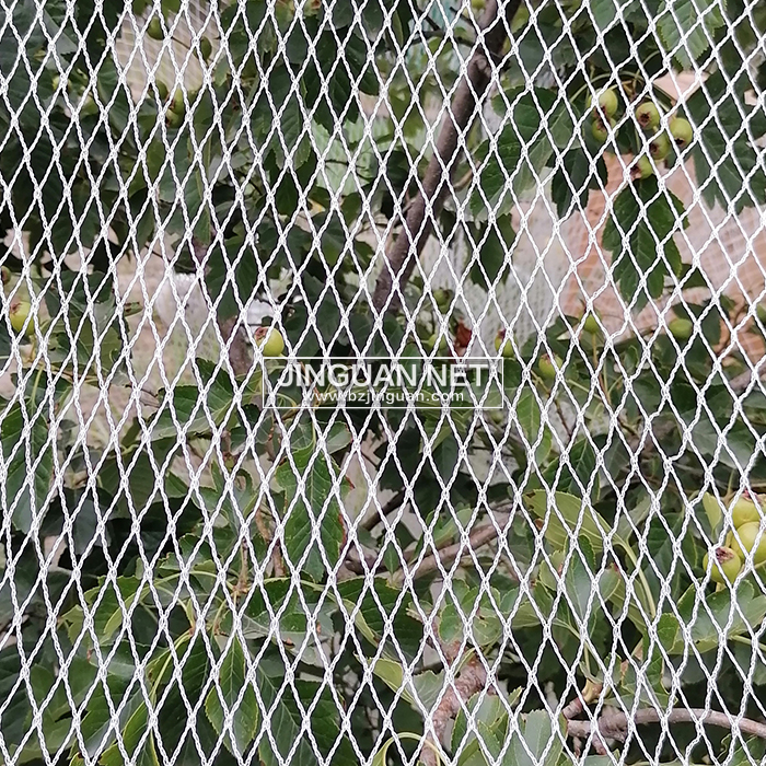 HDPE Bird Net, Agricultural Bird Mesh for Fruit Trees