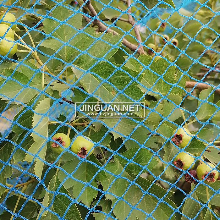 Bird Net | HDPE UV Stabilized Anti Bird Netting for Orchard